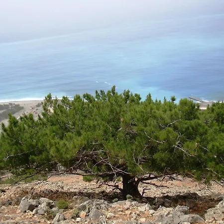 Artemis Apartmán Agia Roumeli